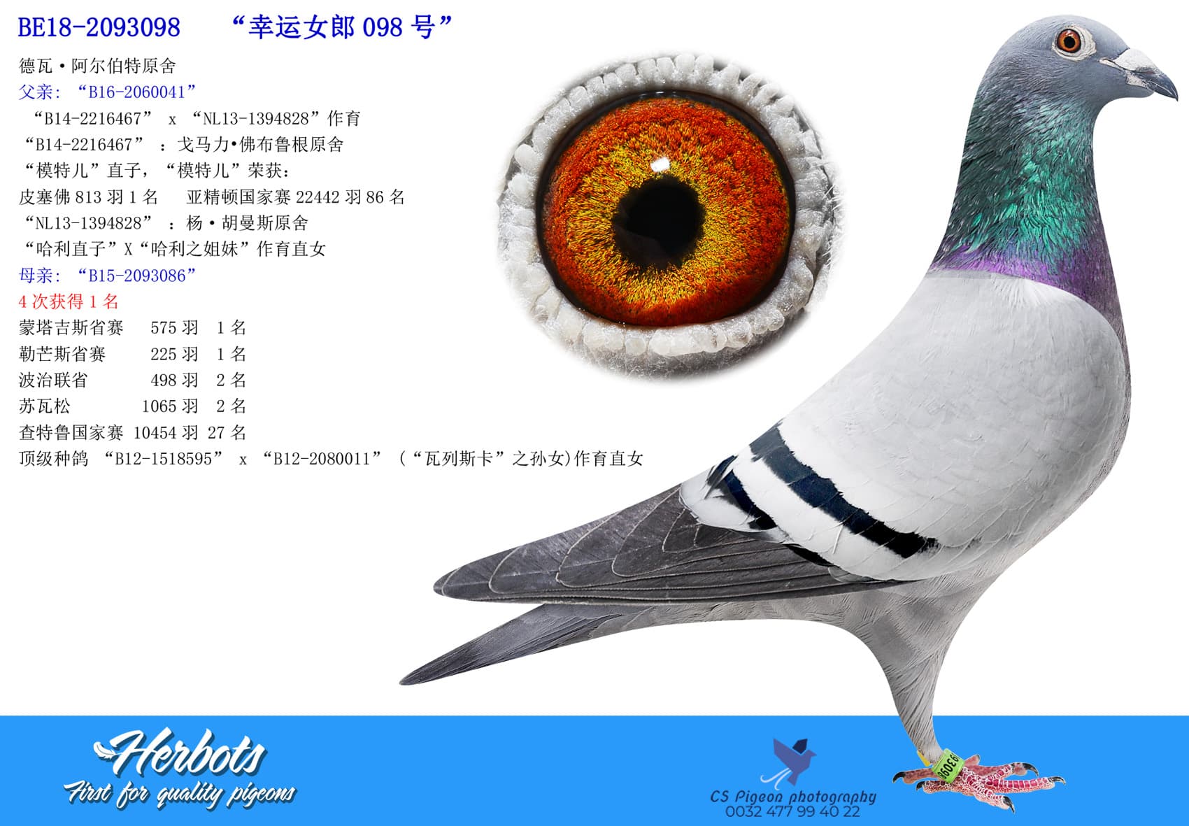 pigeon: undefined