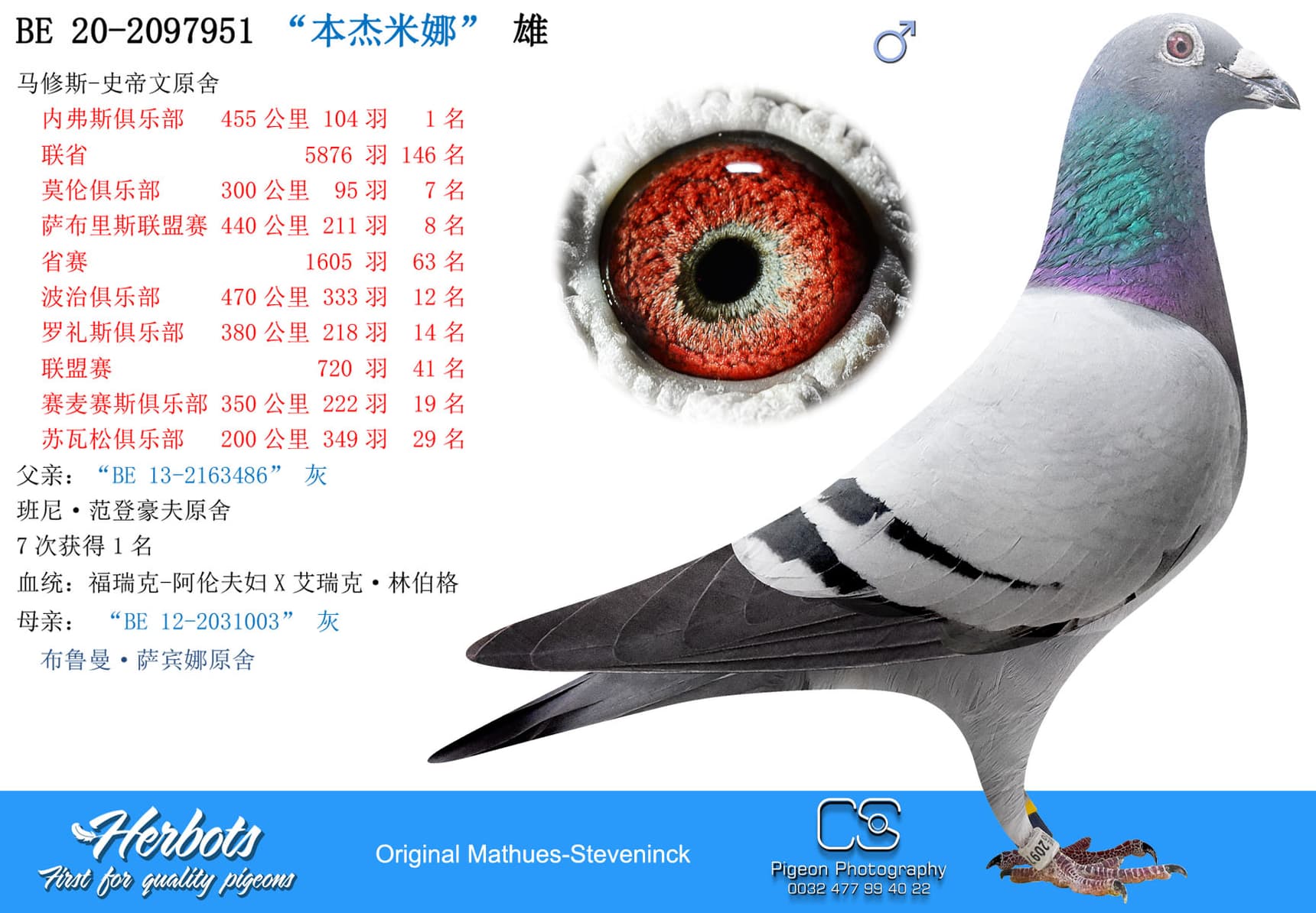 pigeon: undefined