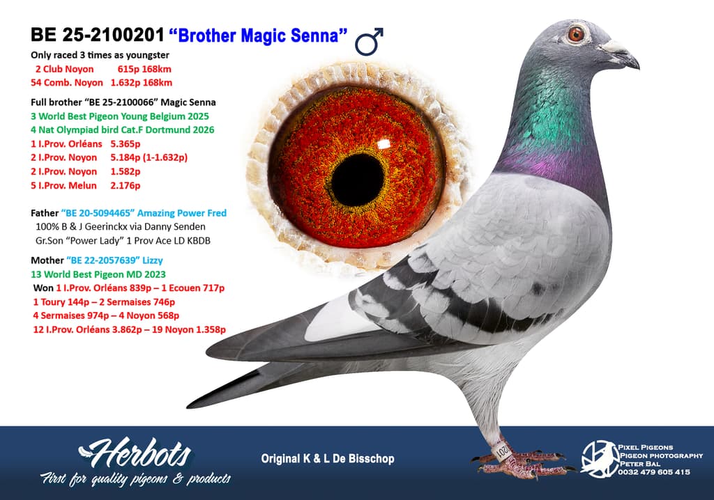 “Brother Magic Senna” - BE-25-2100201