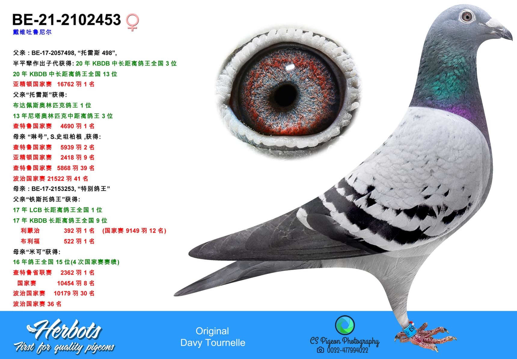 pigeon: undefined