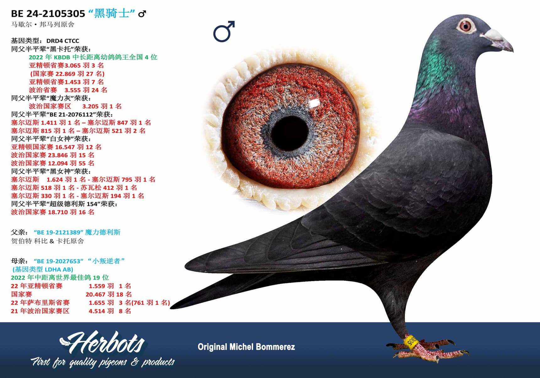 pigeon: undefined