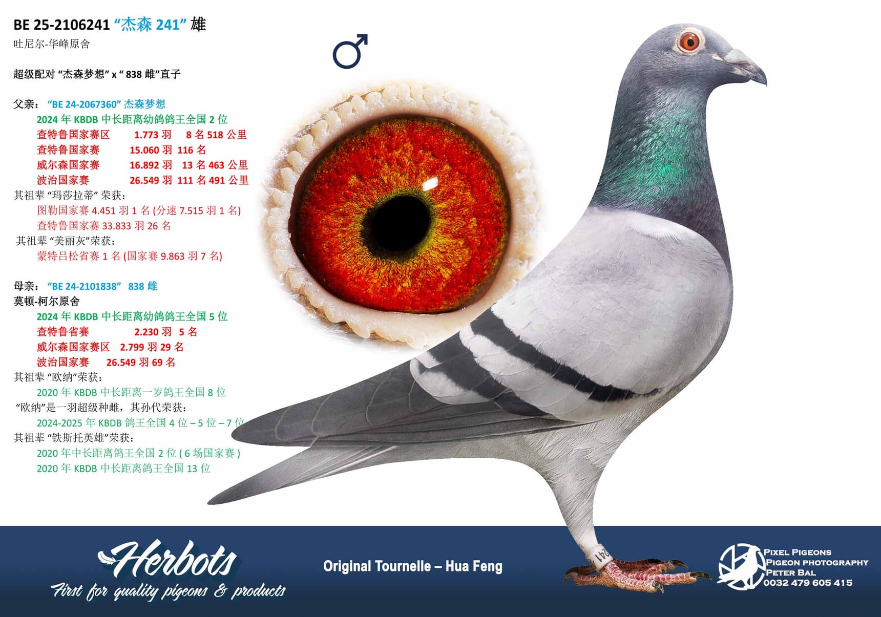 pigeon: undefined
