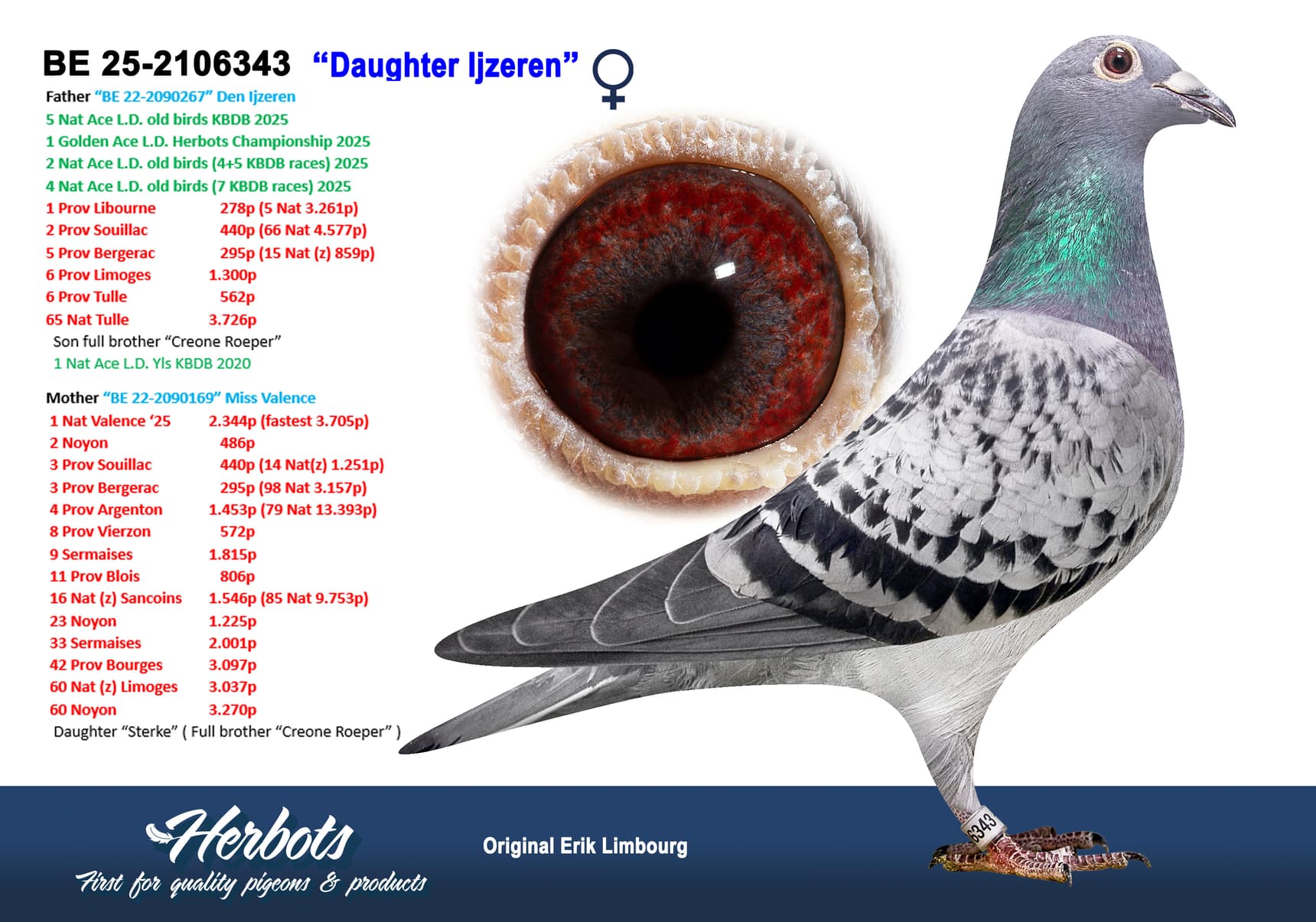 pigeon: undefined