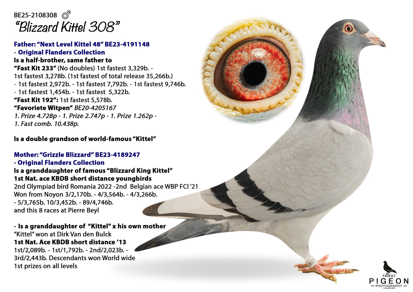 "Blizzard Kittel 308"