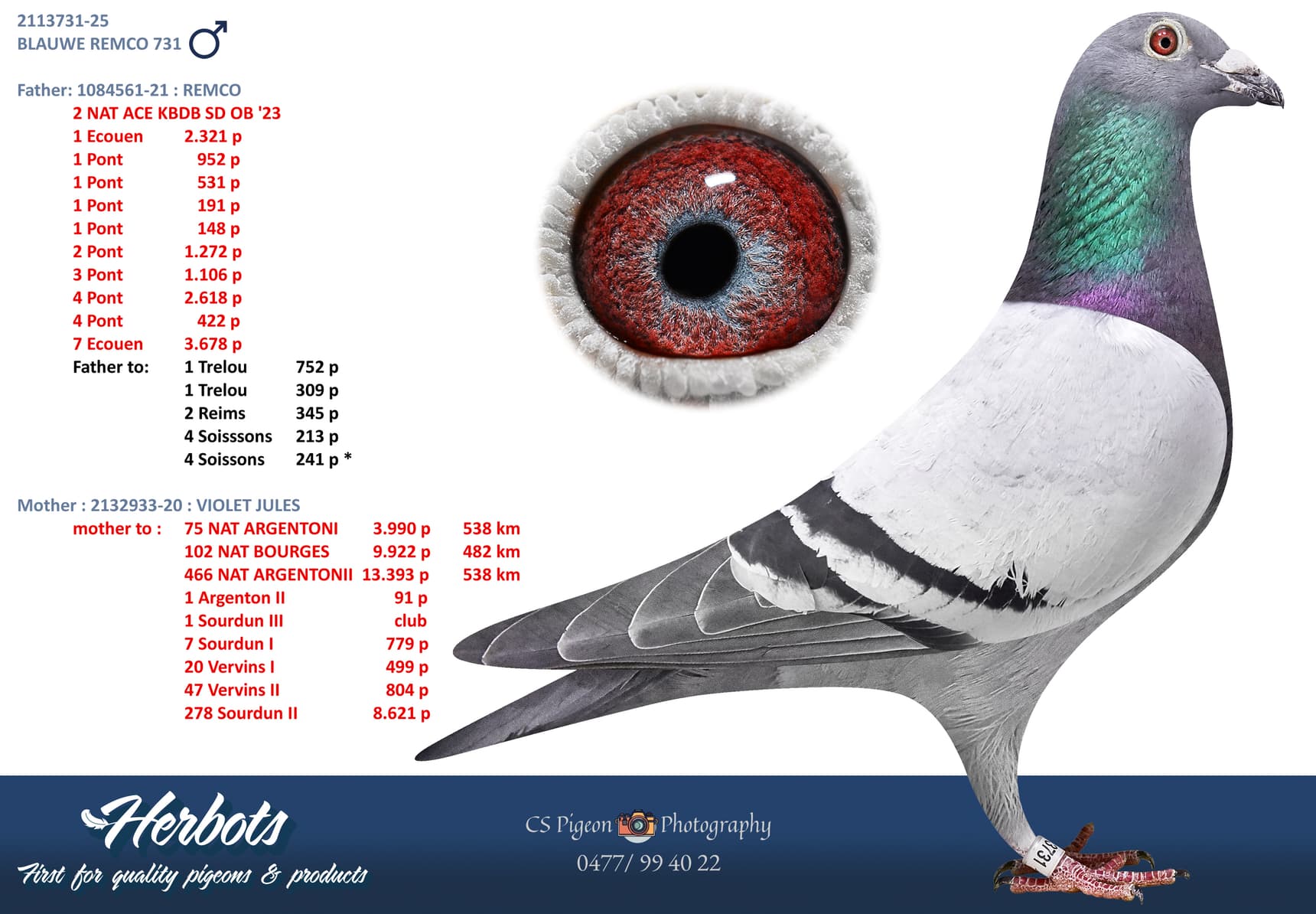 pigeon: undefined