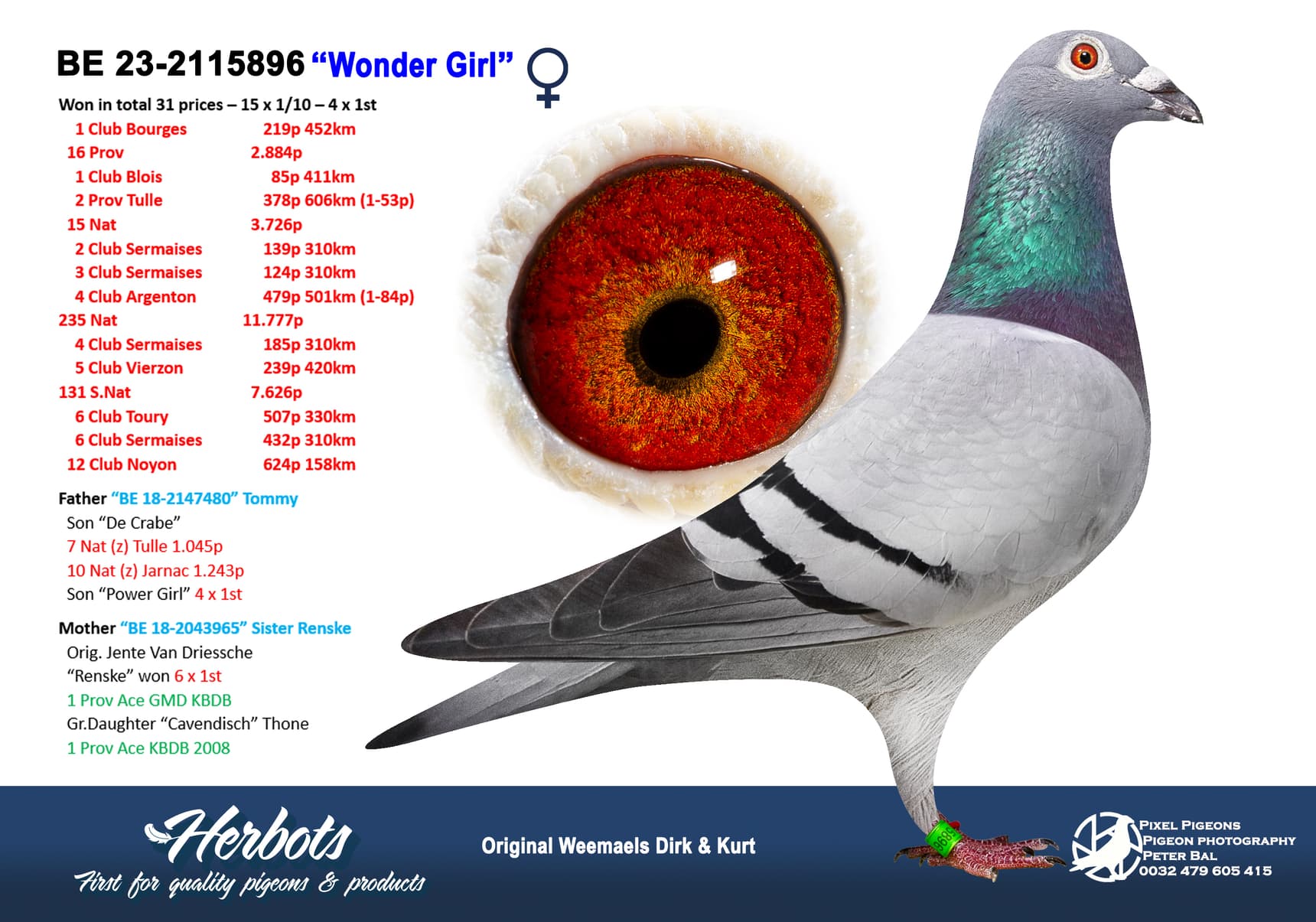 pigeon: undefined