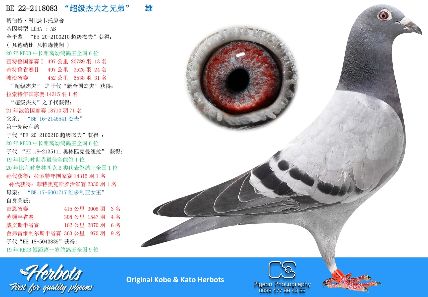 pigeon: “超级杰夫之兄弟”