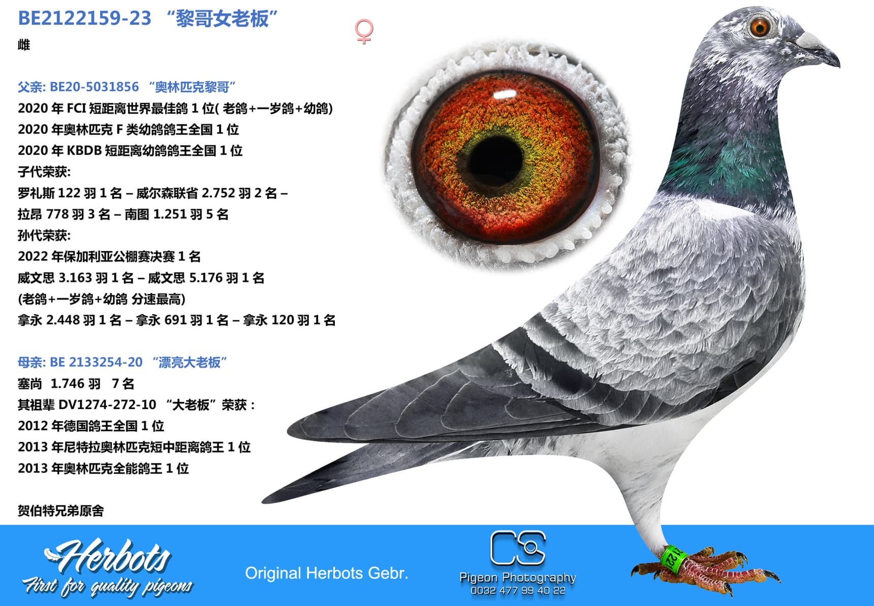 pigeon: “黎哥女老板”