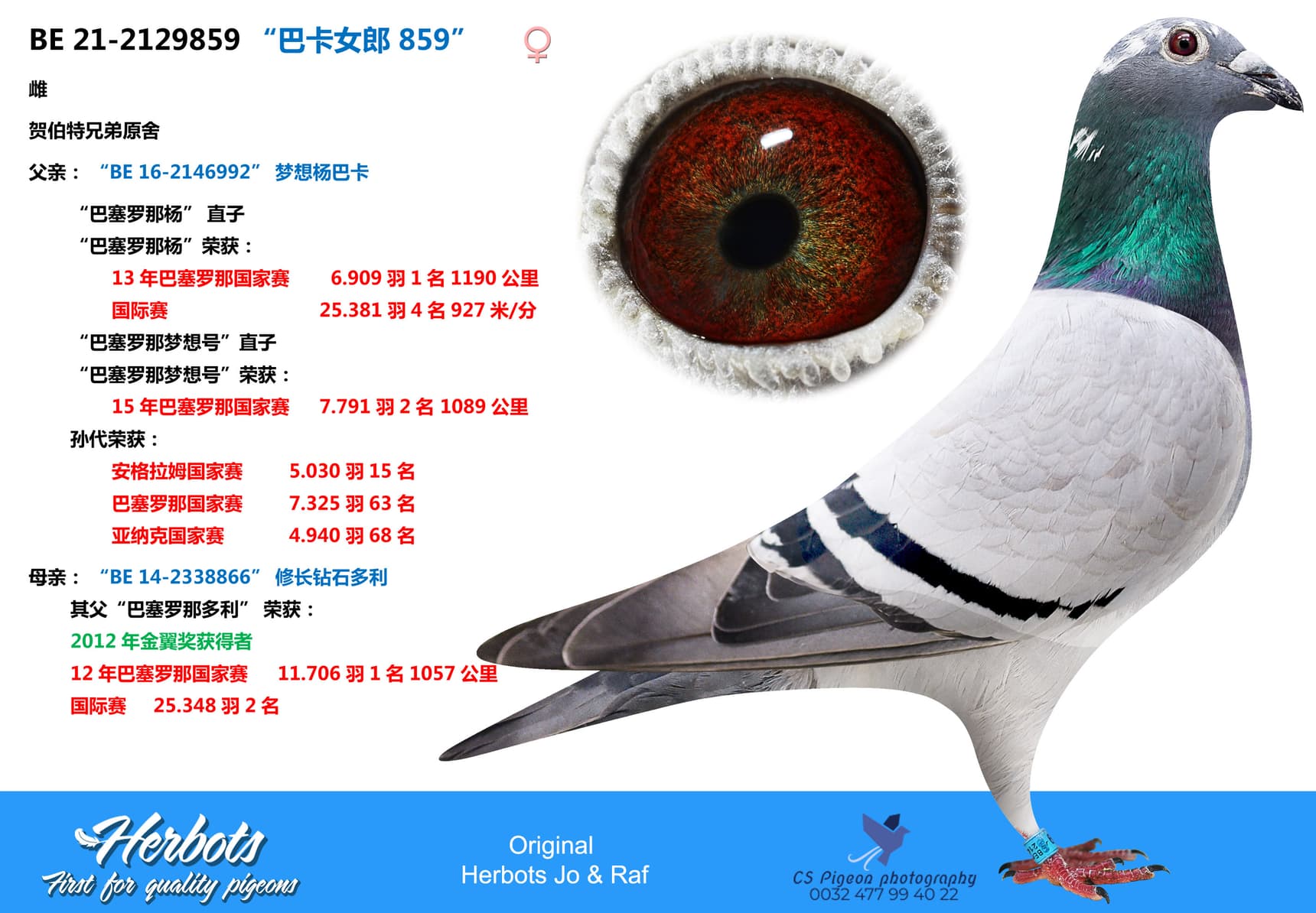 pigeon: “巴卡女郎 859”