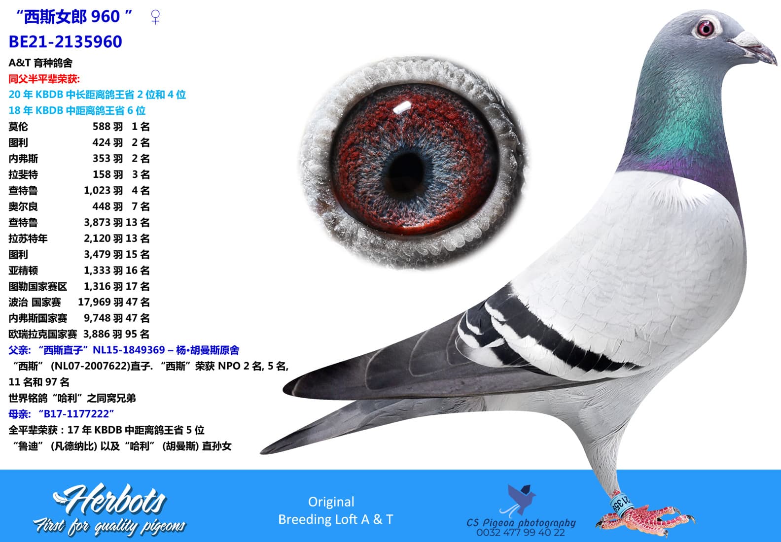 pigeon: “西斯女郎960”