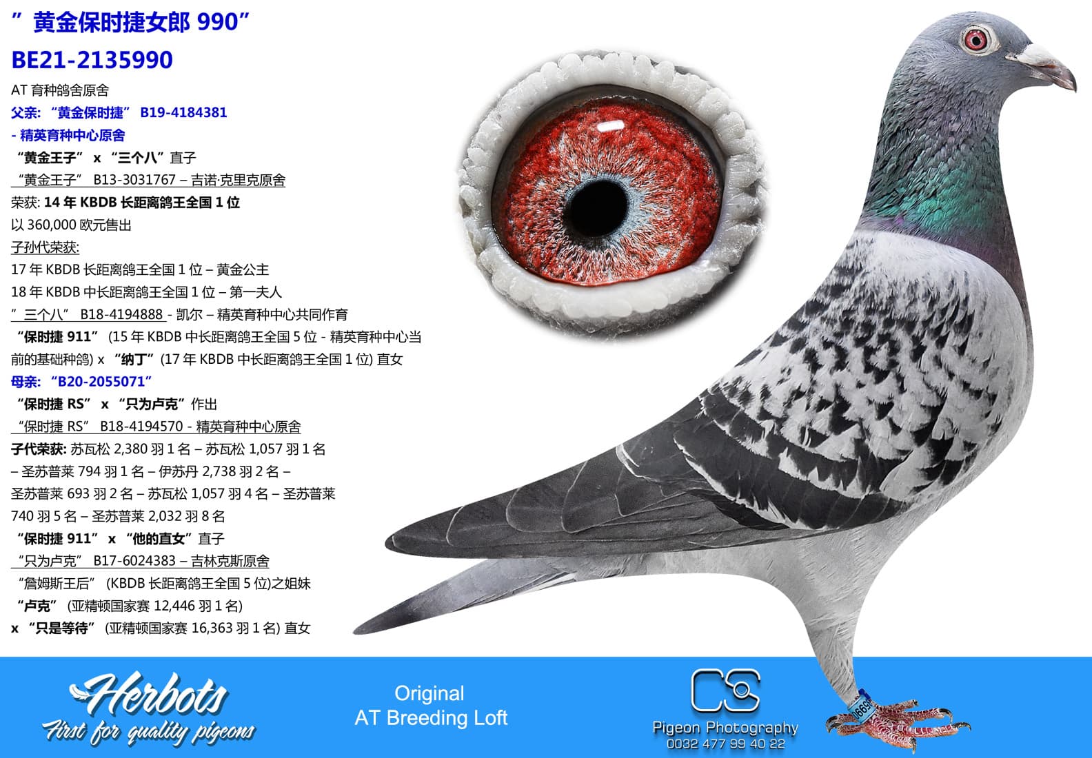 pigeon: ”黄金保时捷女郎 990”