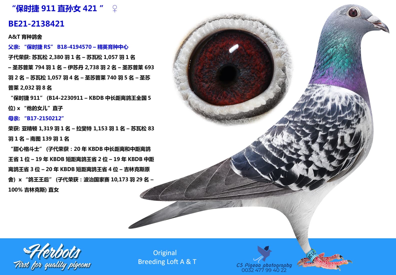 pigeon: “保时捷911 直孙女421"