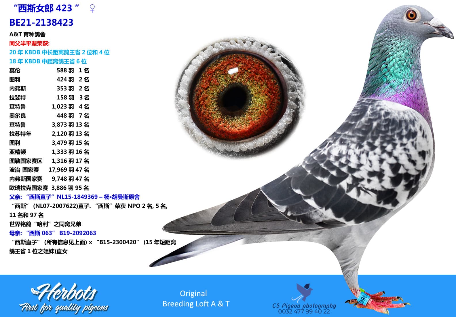 pigeon: “西斯女郎423 ”