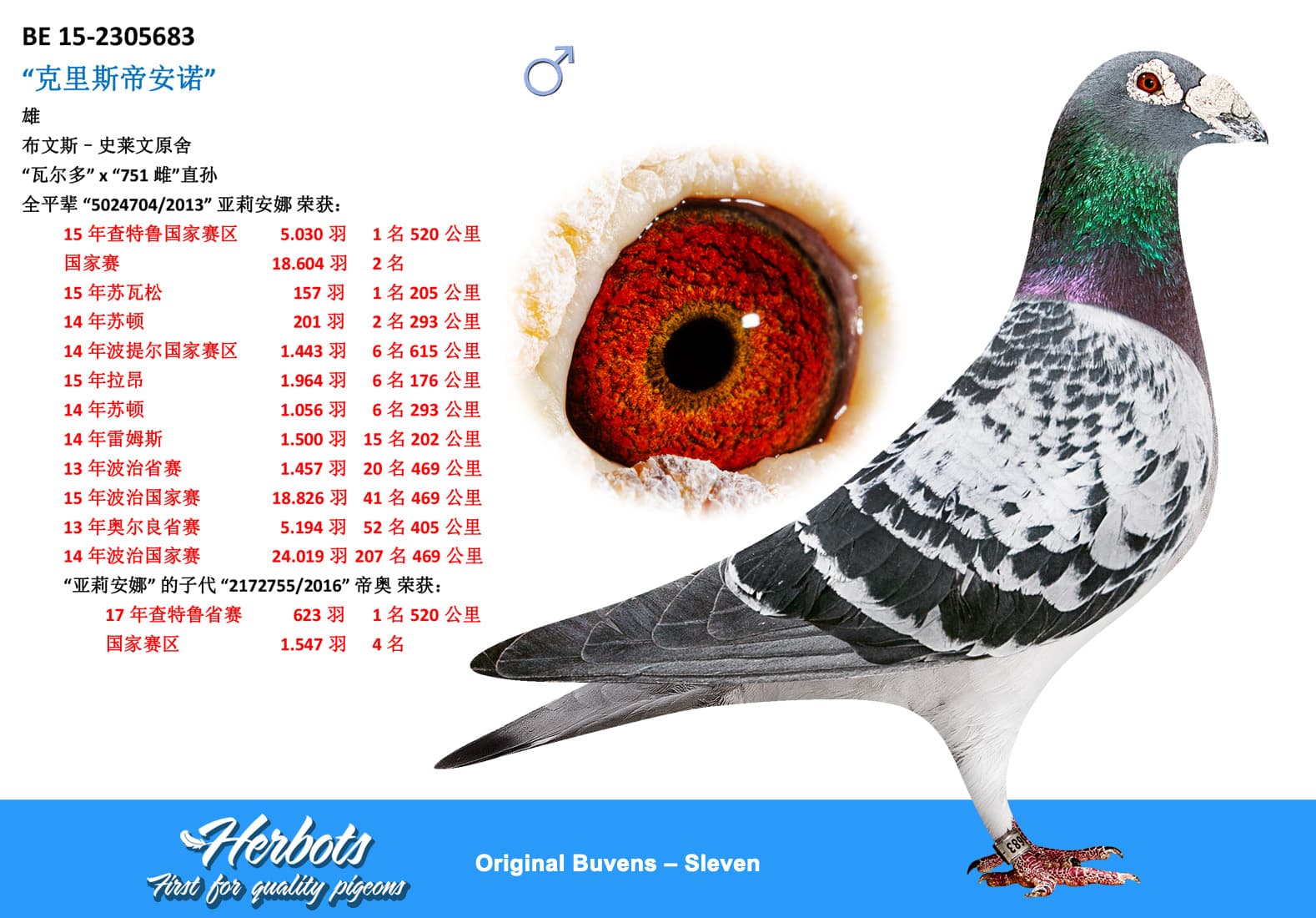 pigeon: undefined