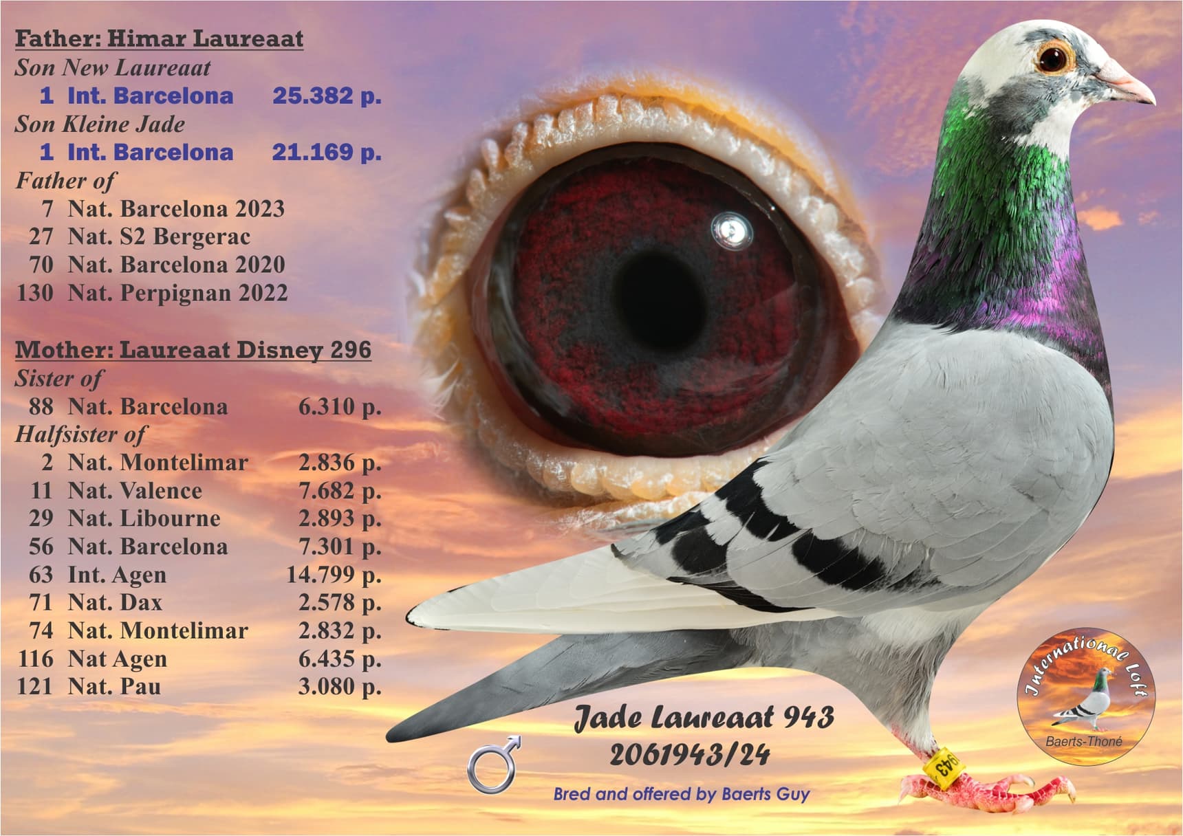 164-Leideman Power” - DV-01009-24-164