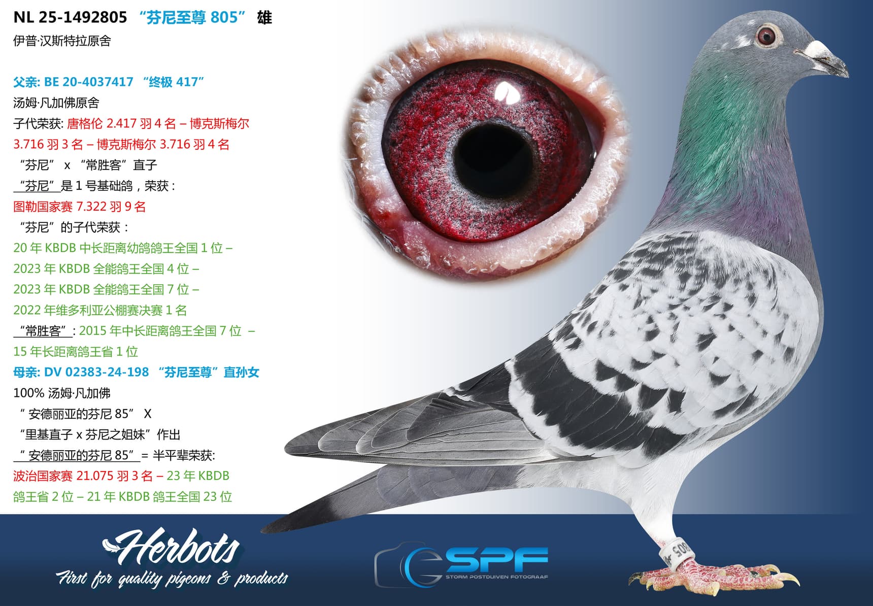 pigeon: undefined