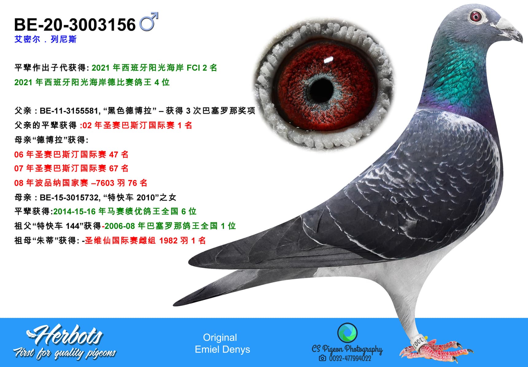 pigeon: undefined