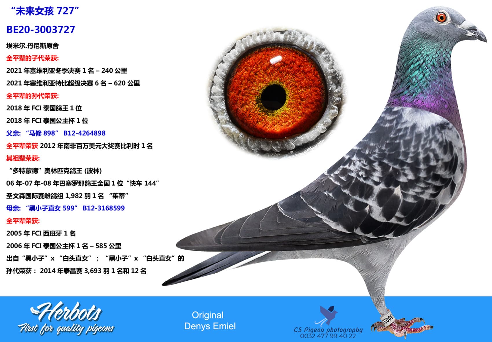 pigeon: “未来女孩 727”