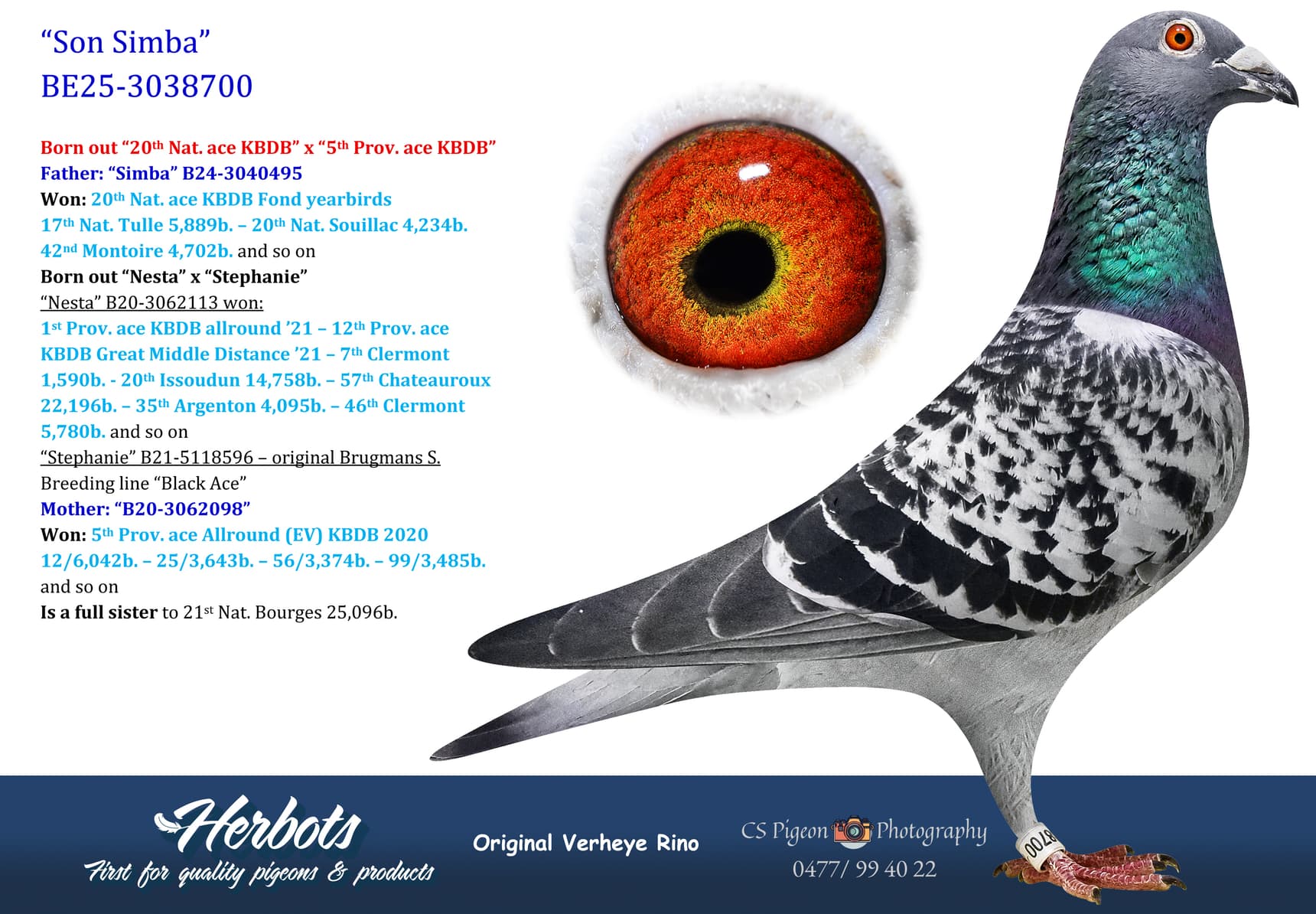 pigeon: undefined