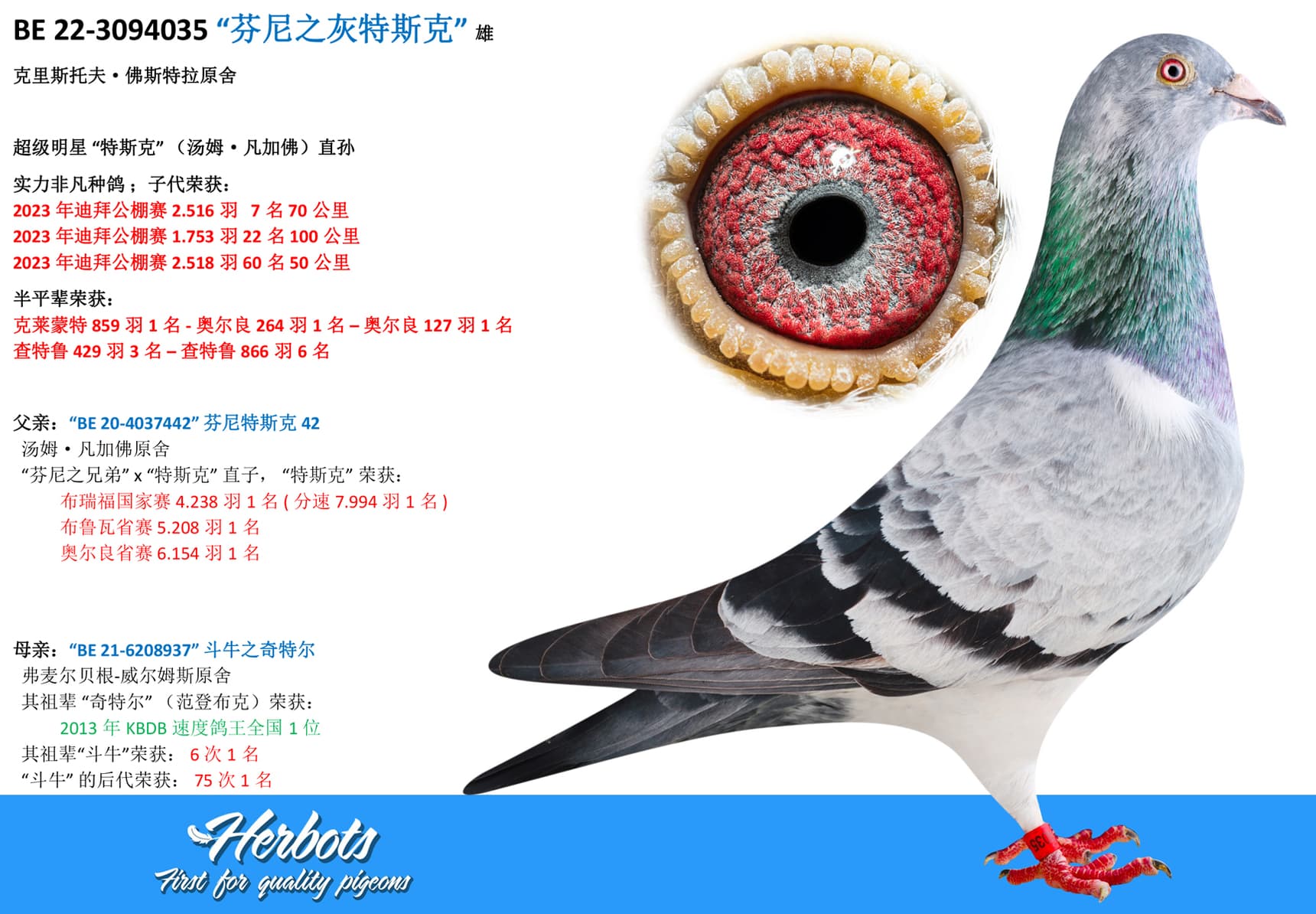 pigeon: “芬尼之灰特斯克”