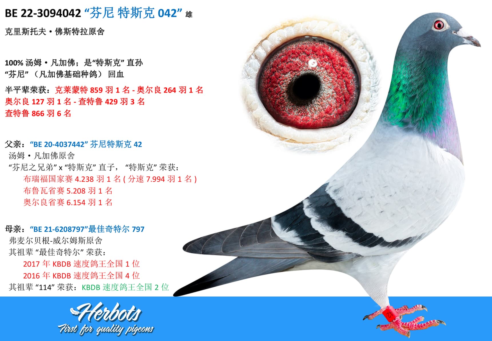 pigeon: undefined