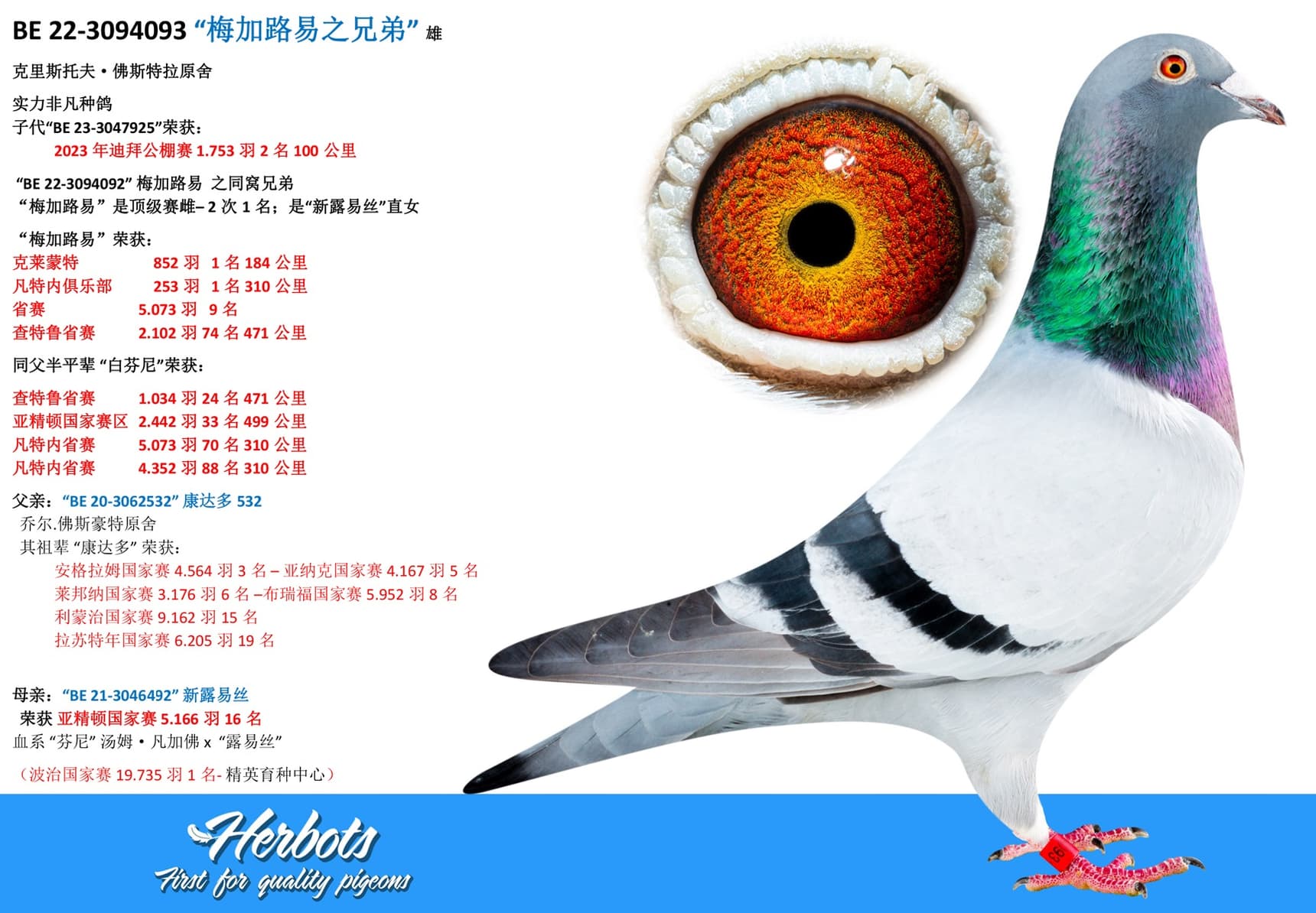 pigeon: undefined