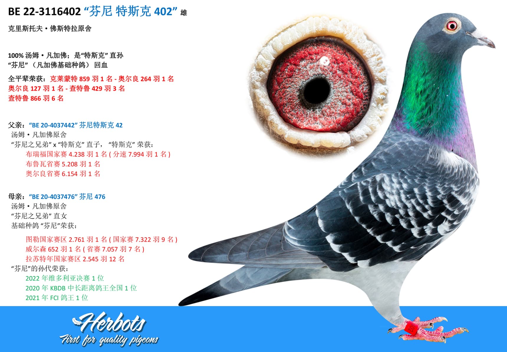 pigeon: “芬尼 特斯克 402”