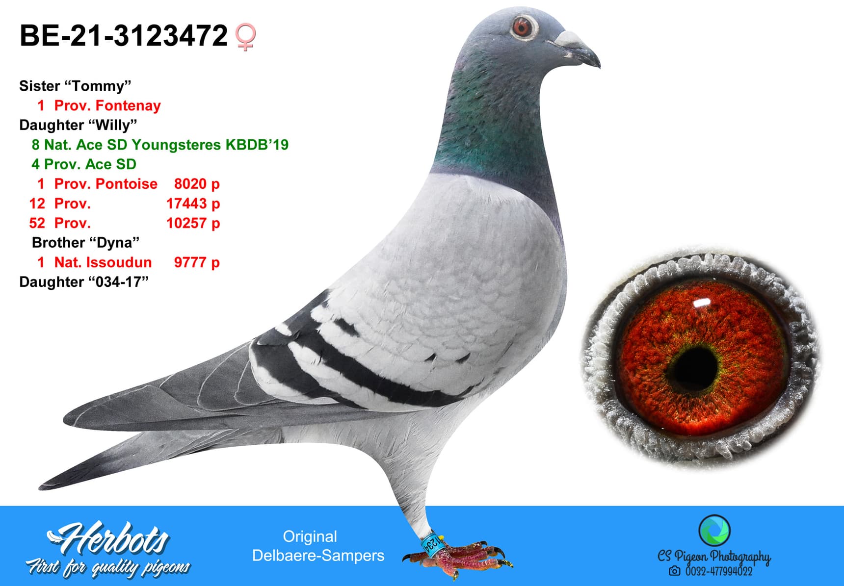 pigeon: undefined