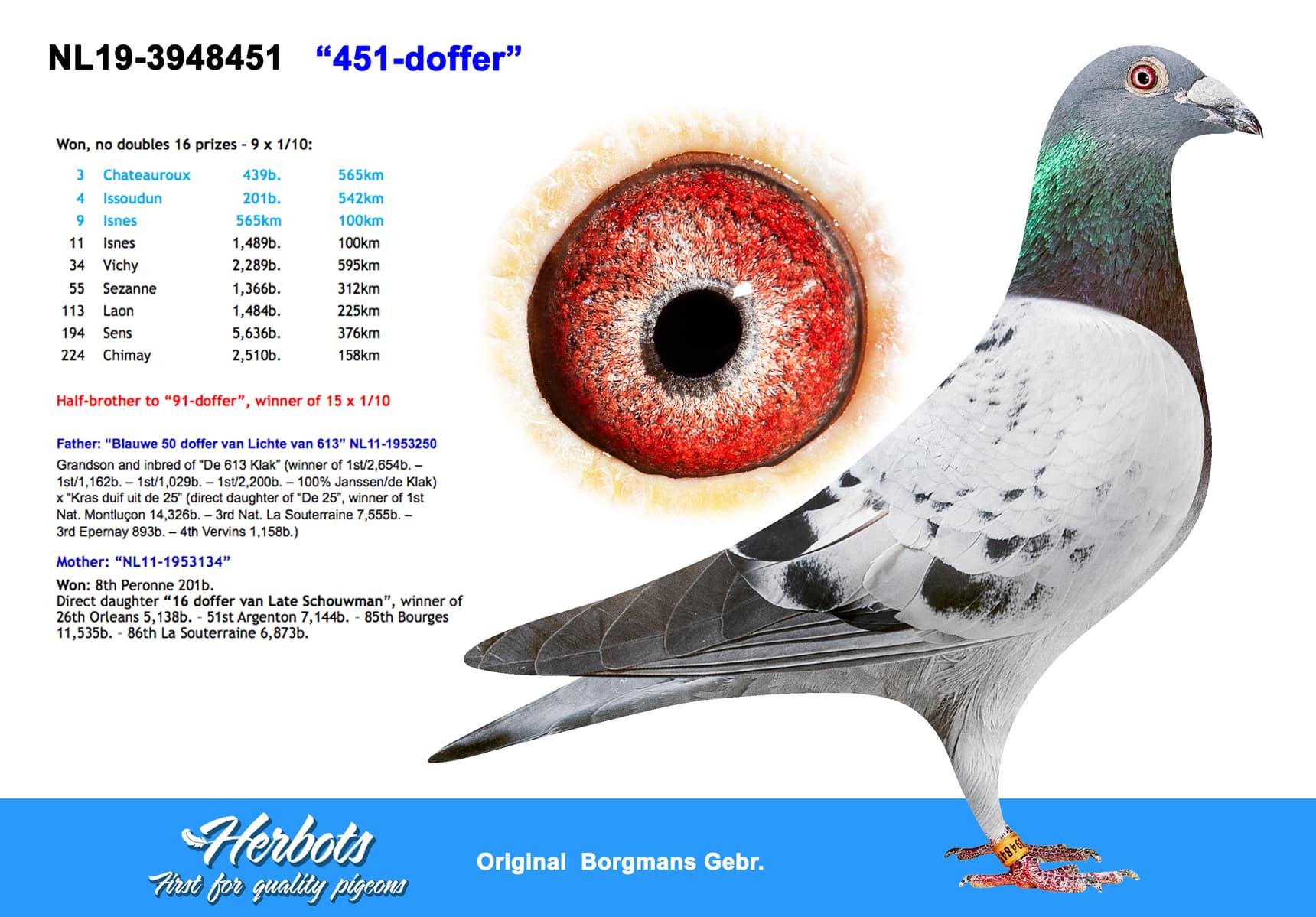 pigeon: “451-doffer”