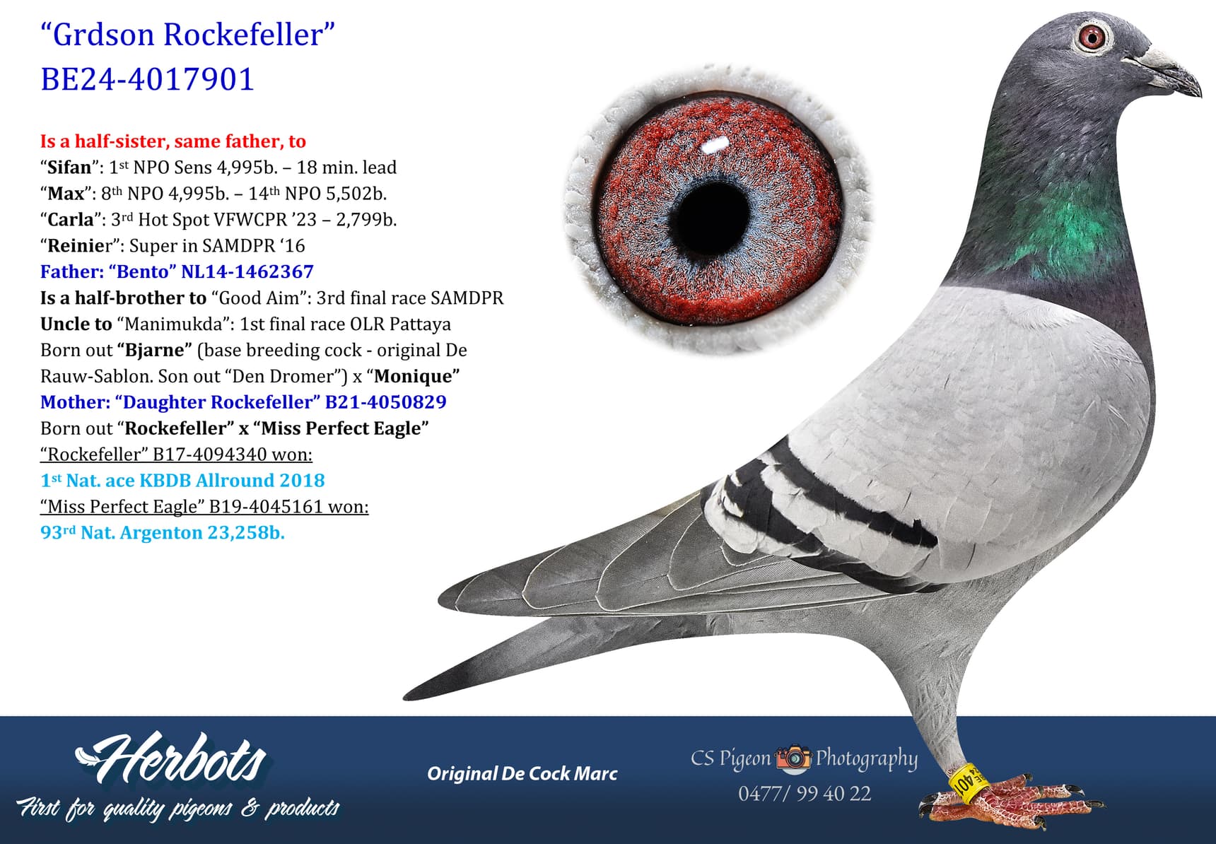 pigeon: undefined