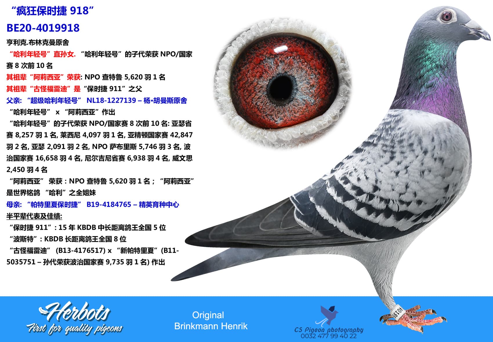 pigeon: “疯狂保时捷 918”