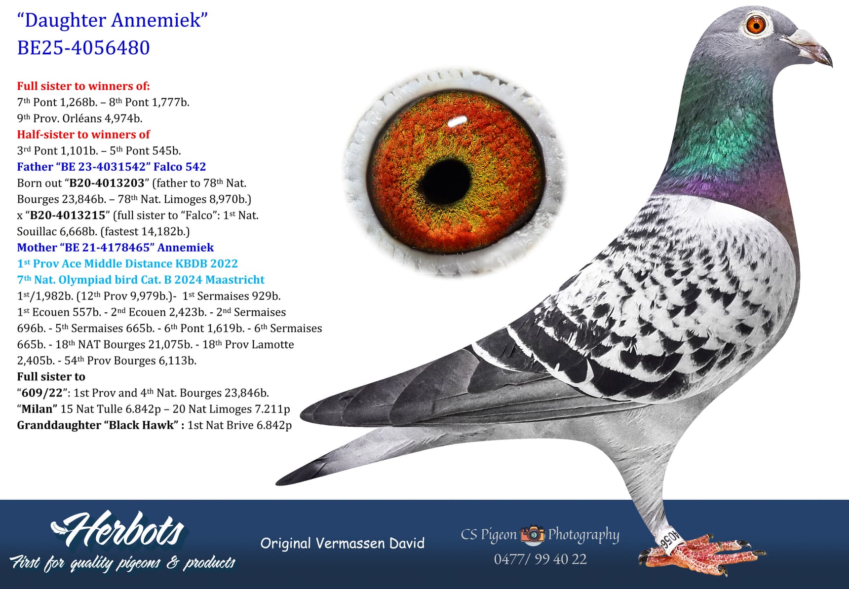 pigeon: undefined