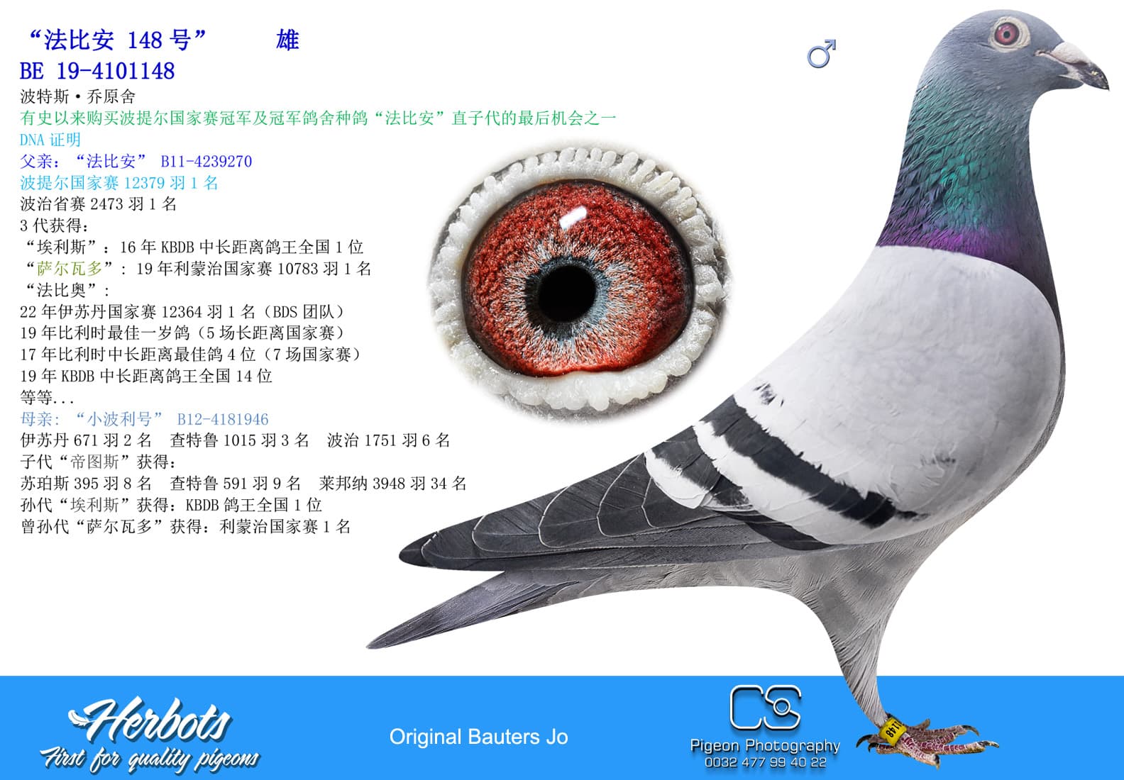 pigeon: undefined