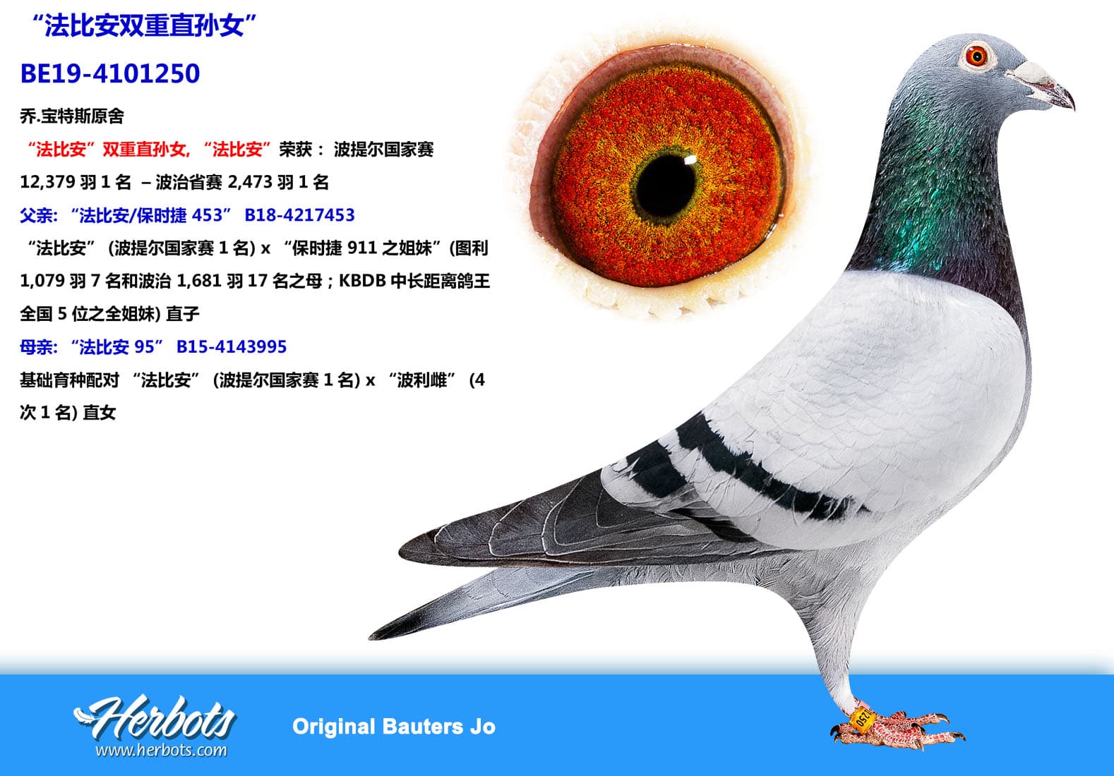 pigeon: undefined