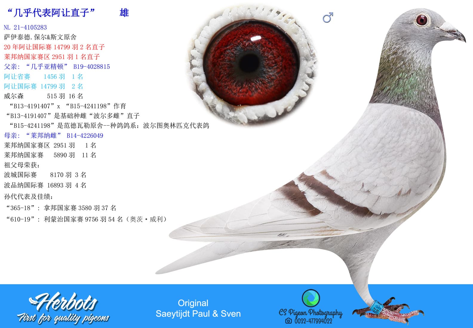 pigeon: undefined