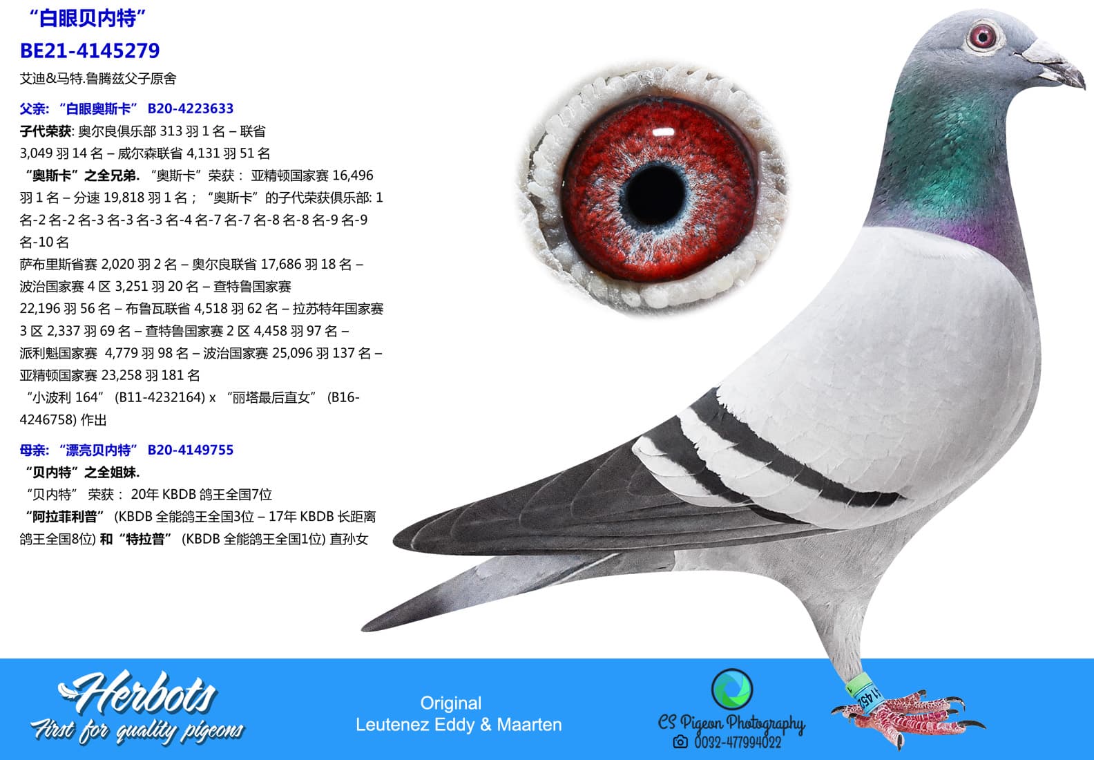 pigeon: undefined