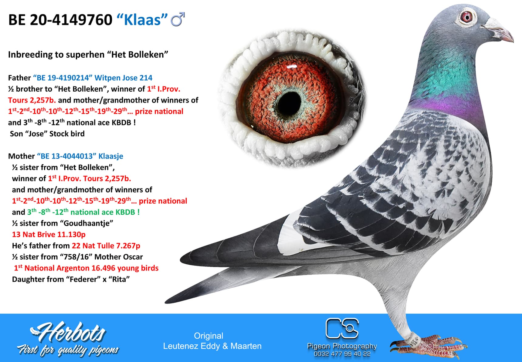 Pigeon Digest 新春特別号 54号 Pigeon Digest 新春特別号 54号 DAN-070-13-0174 | M&C Breeding