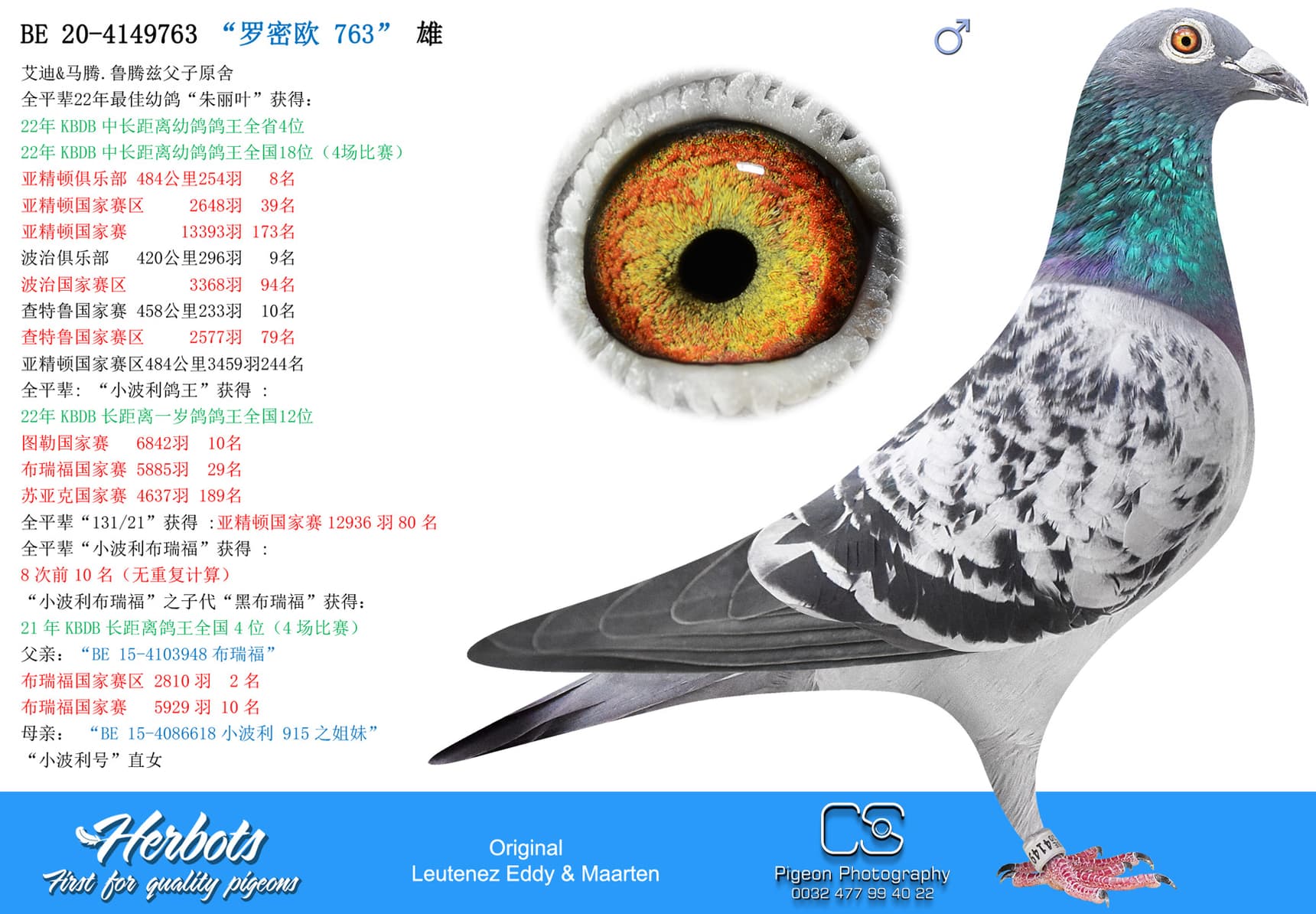 pigeon: “罗密欧 763”