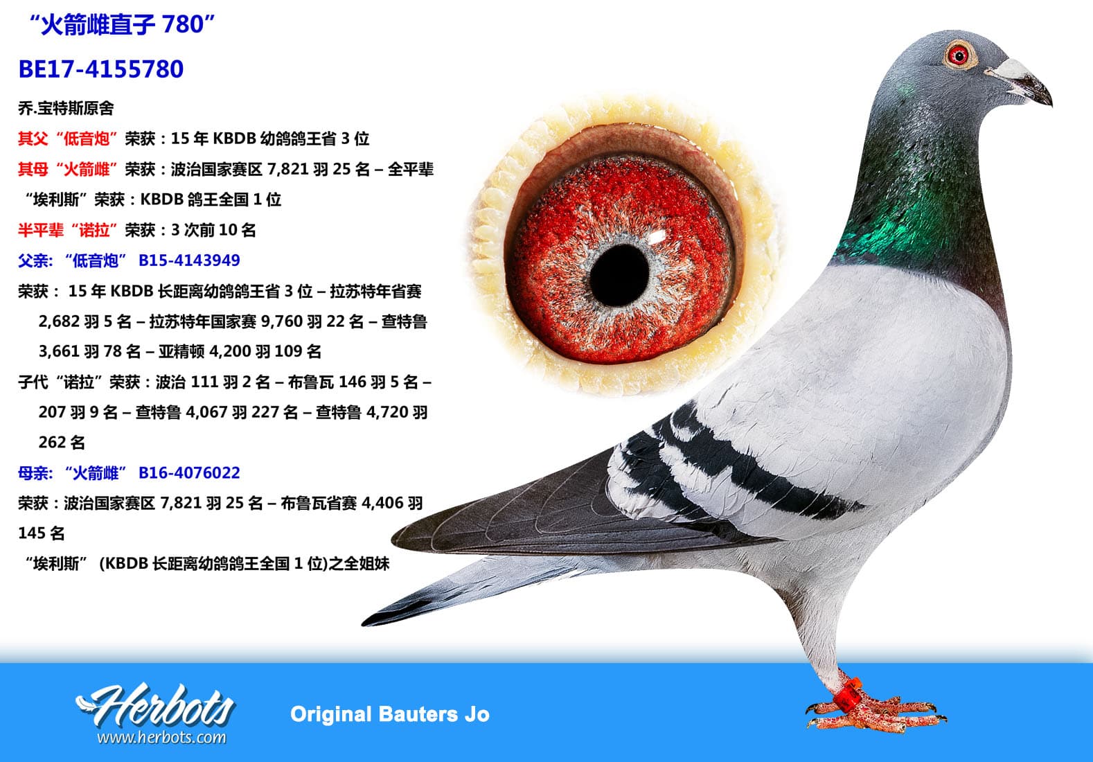 pigeon: undefined