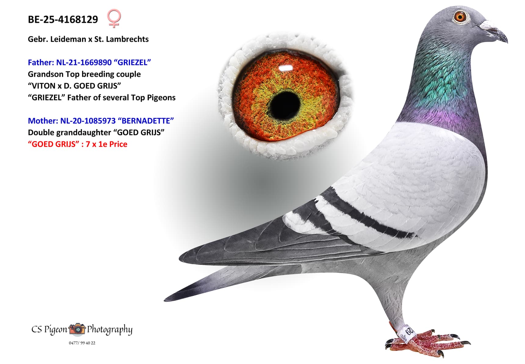 ‘Young Bernadette’