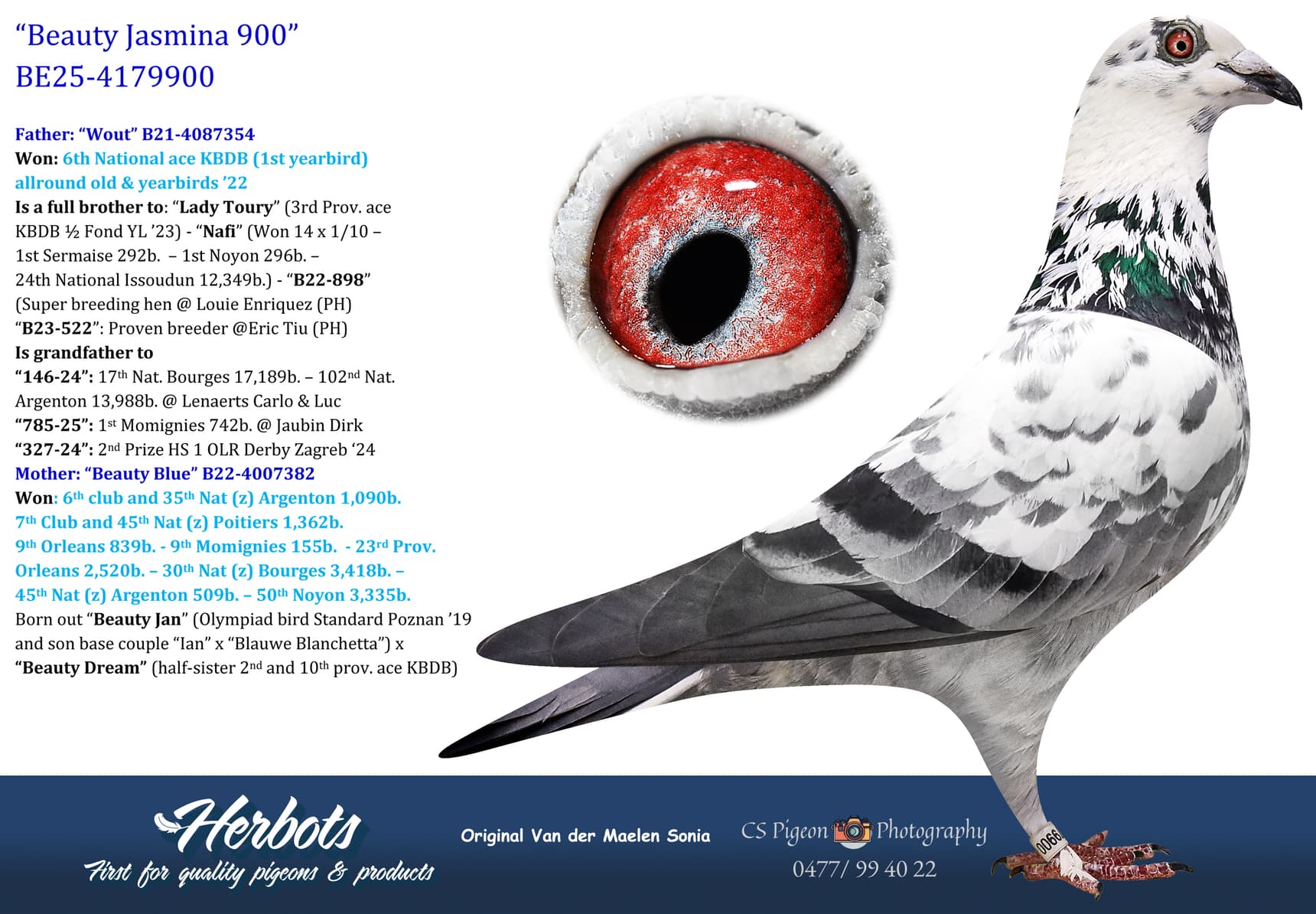 pigeon: undefined