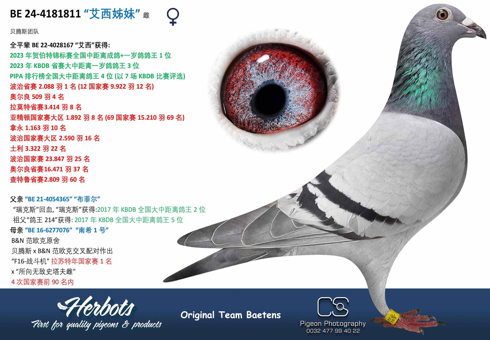 pigeon: undefined