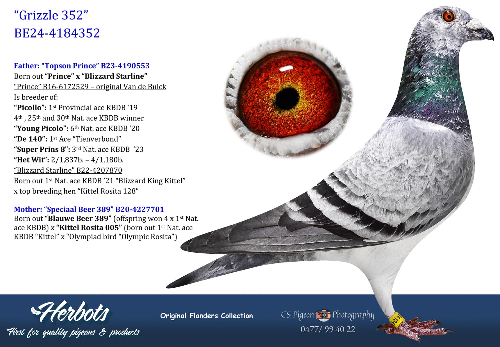 pigeon: undefined