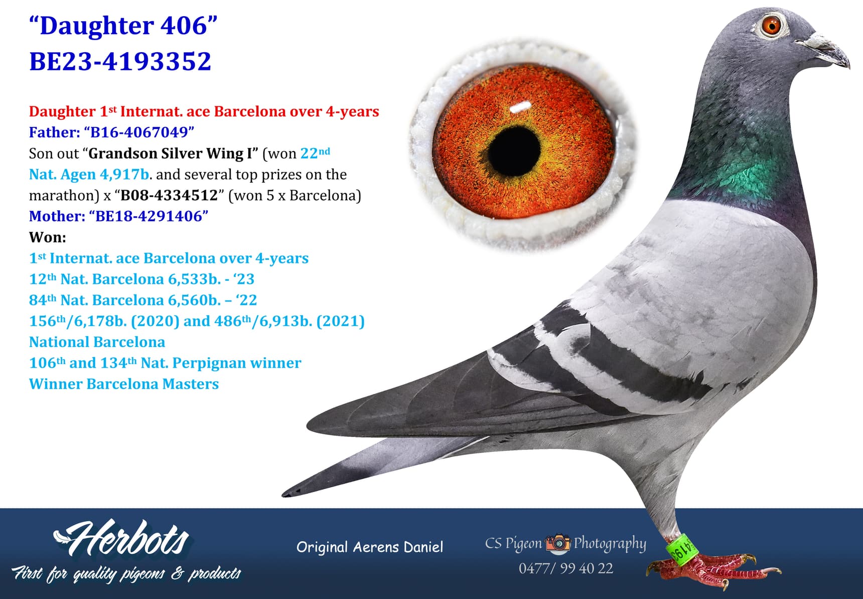 pigeon: undefined