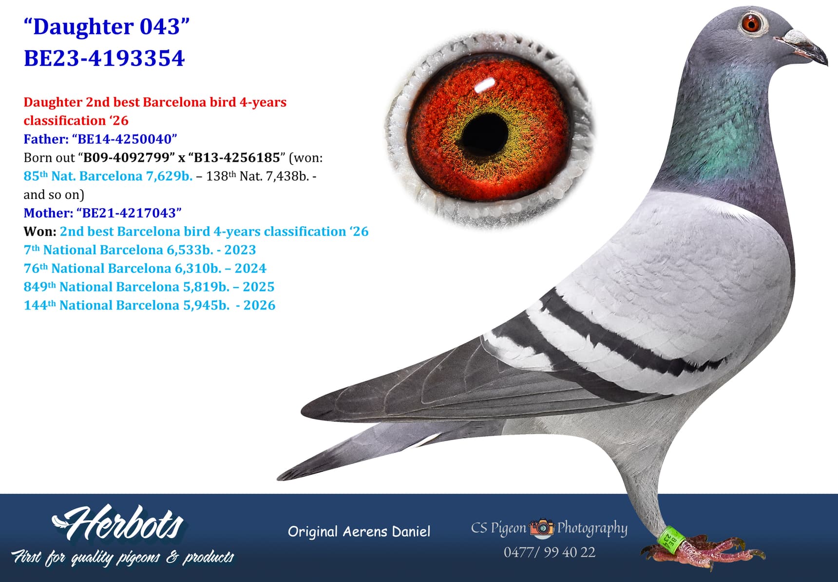 pigeon: undefined