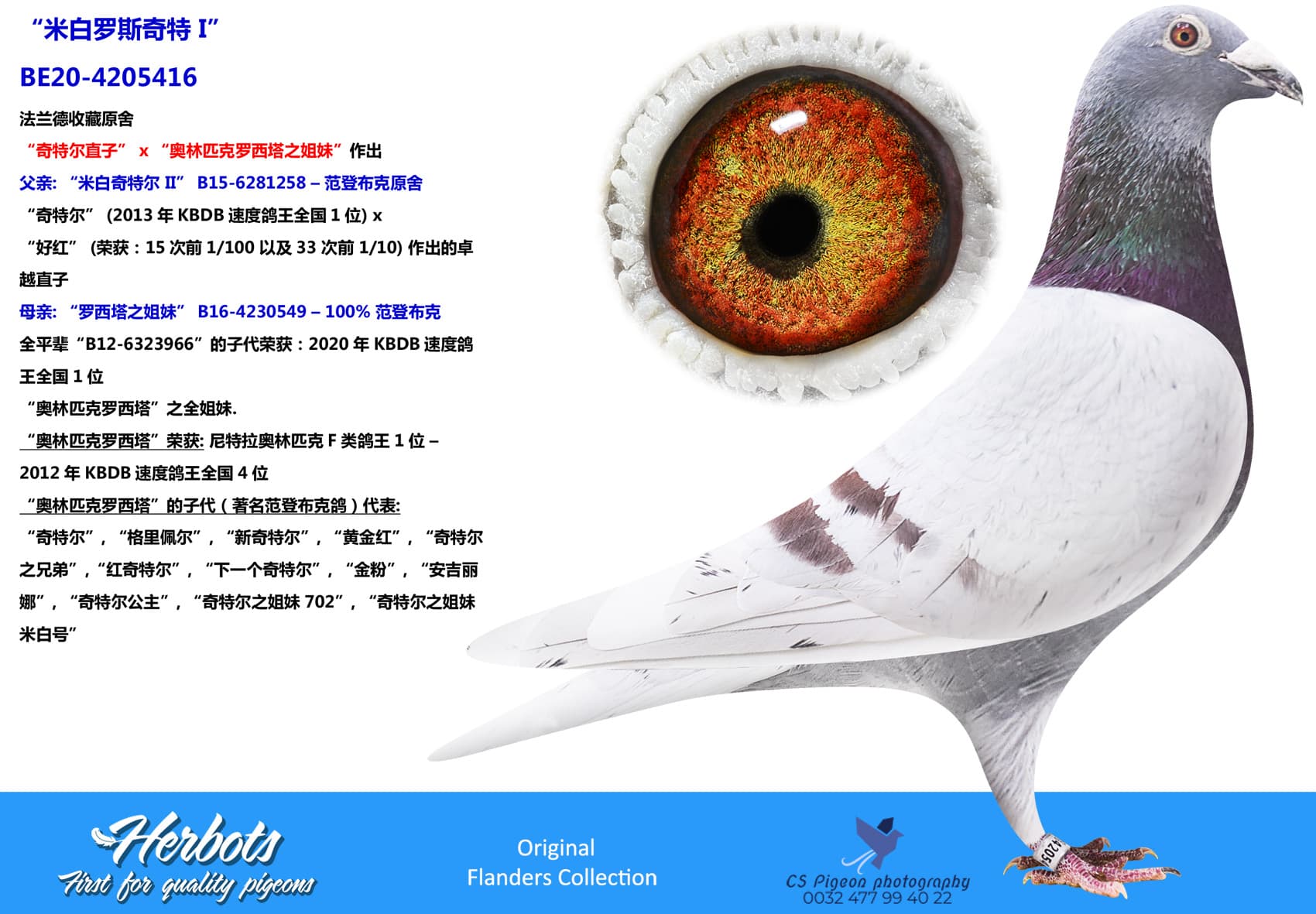 pigeon: “米白罗斯奇特 I”