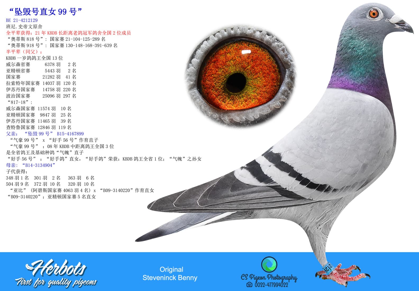 pigeon: undefined