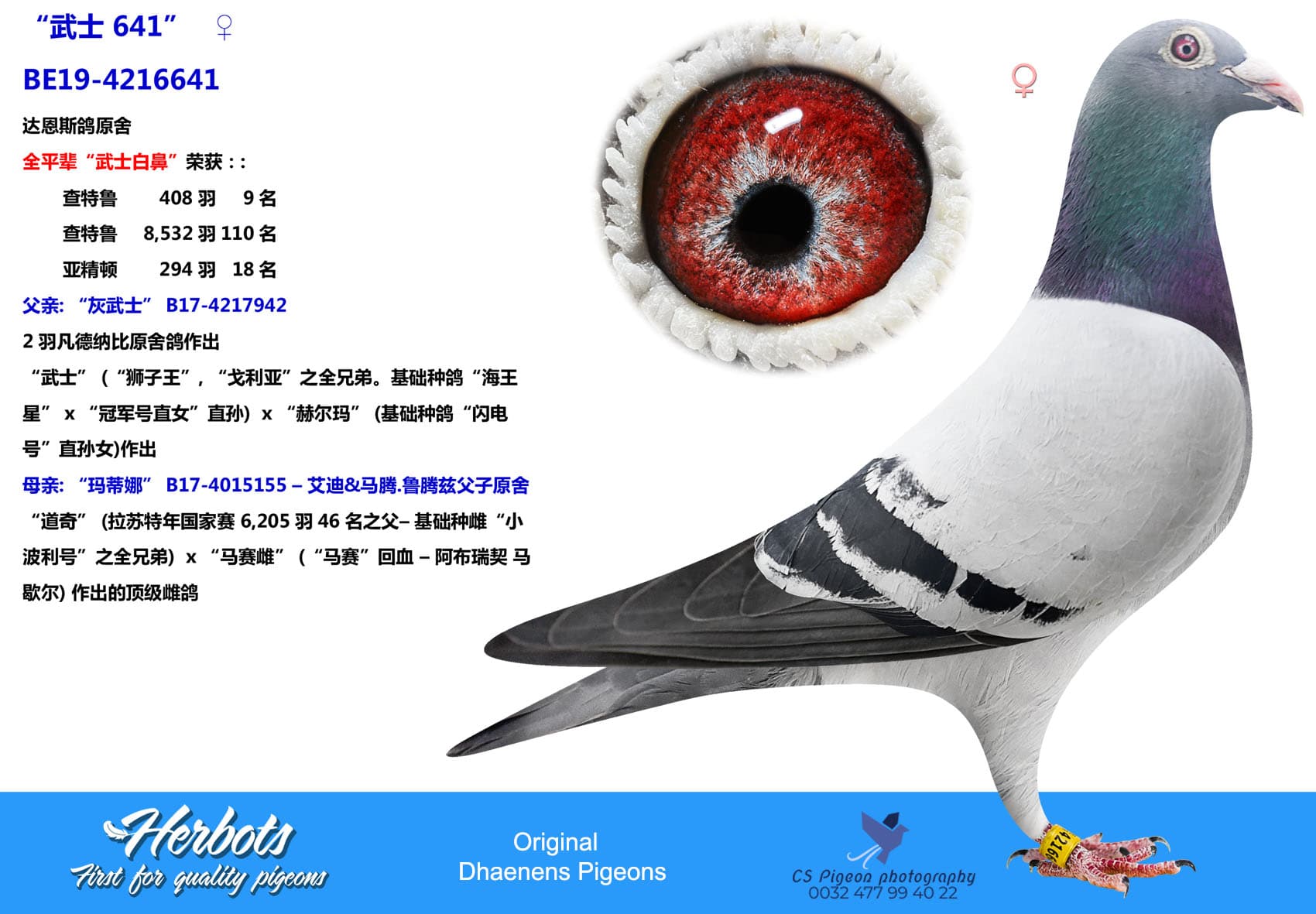 pigeon: undefined
