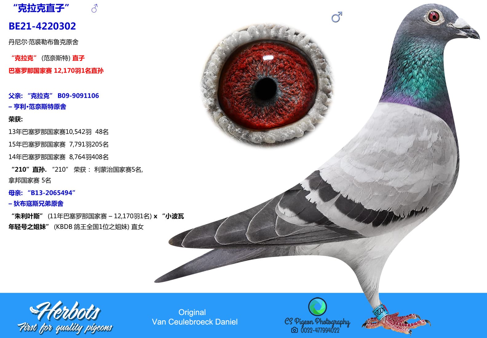 pigeon: undefined