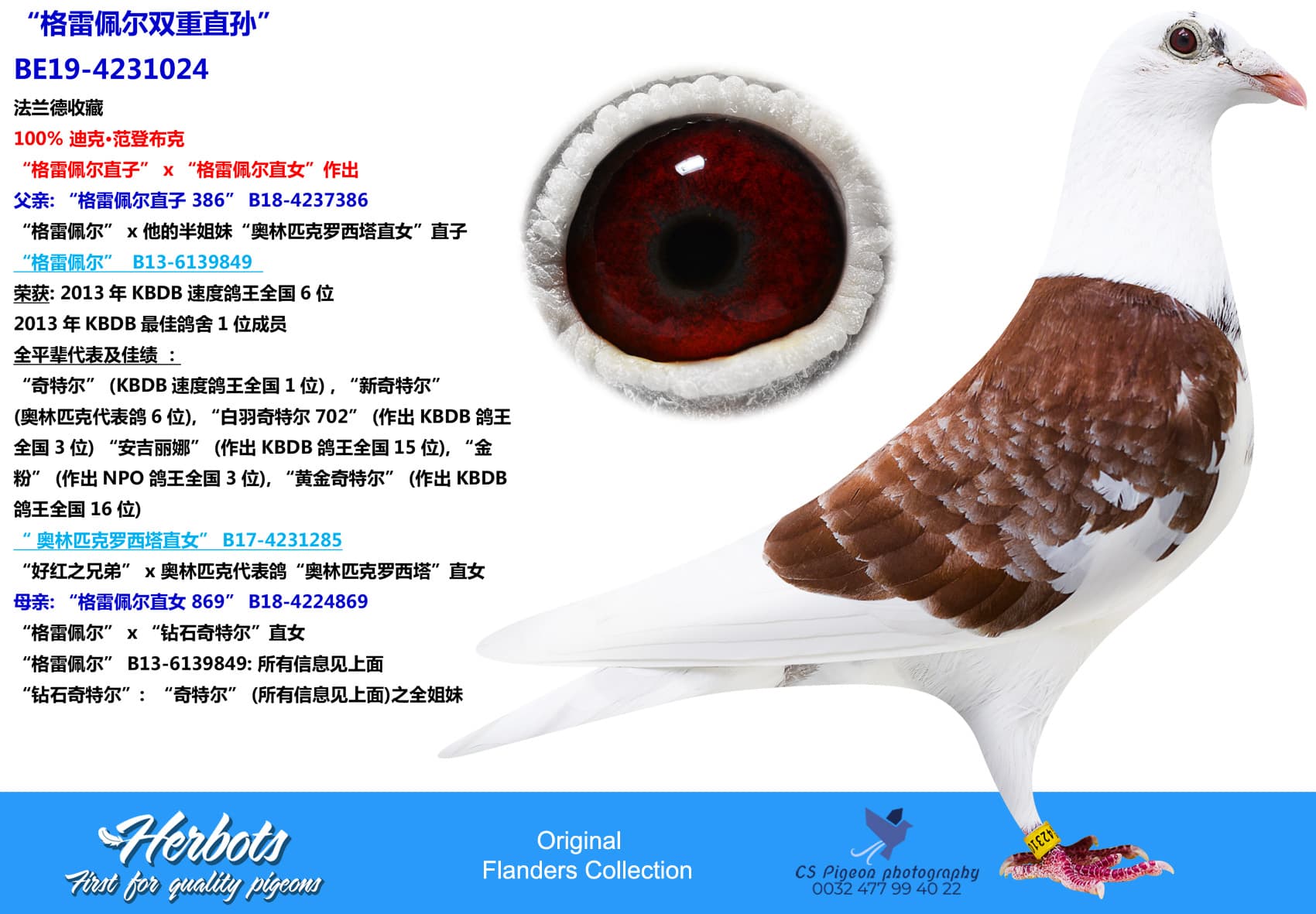 pigeon: “格雷佩尔双重直孙”